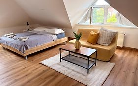 Apartment Roci